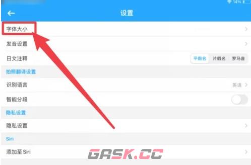 翻译全能王app字体大小设置入口-第4张-手游攻略-GASK