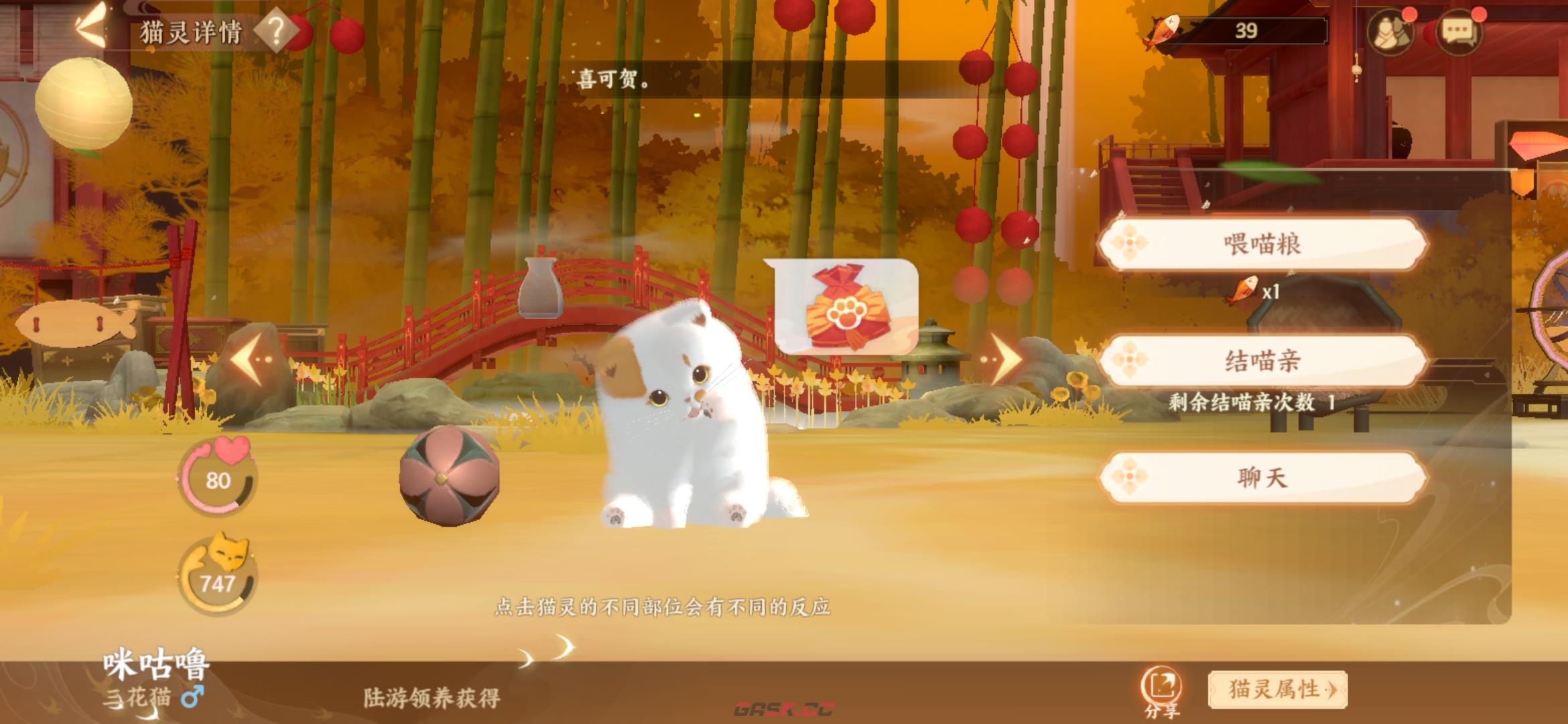 《忘川风华录》喵居玩法介绍-第10张-手游攻略-GASK