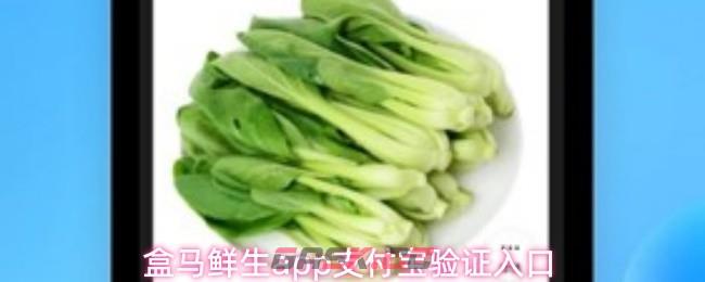 盒马鲜生app支付宝验证入口