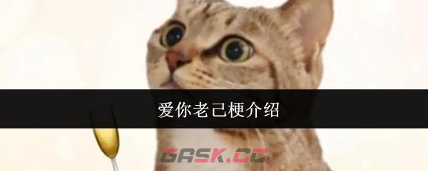 爱你老己梗介绍-第1张-手游攻略-GASK