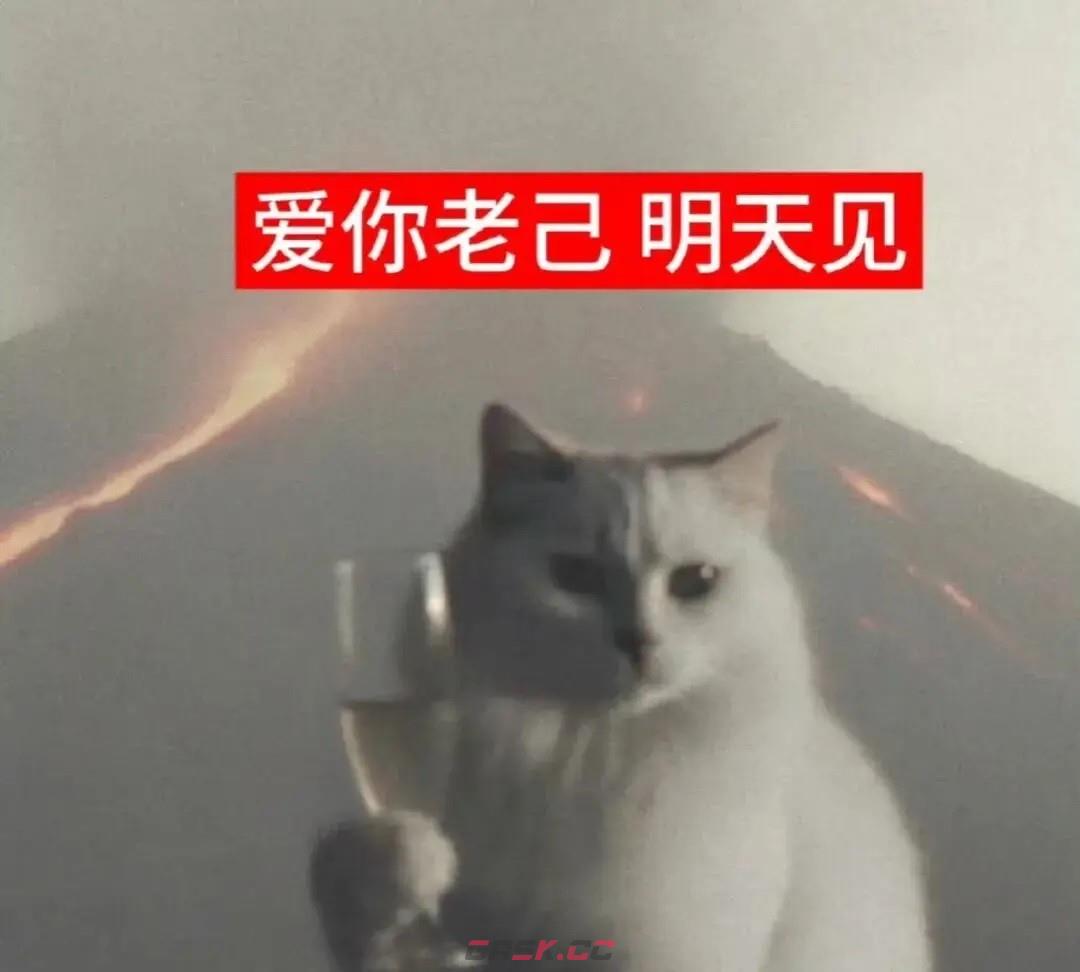 爱你老己梗介绍-第2张-手游攻略-GASK