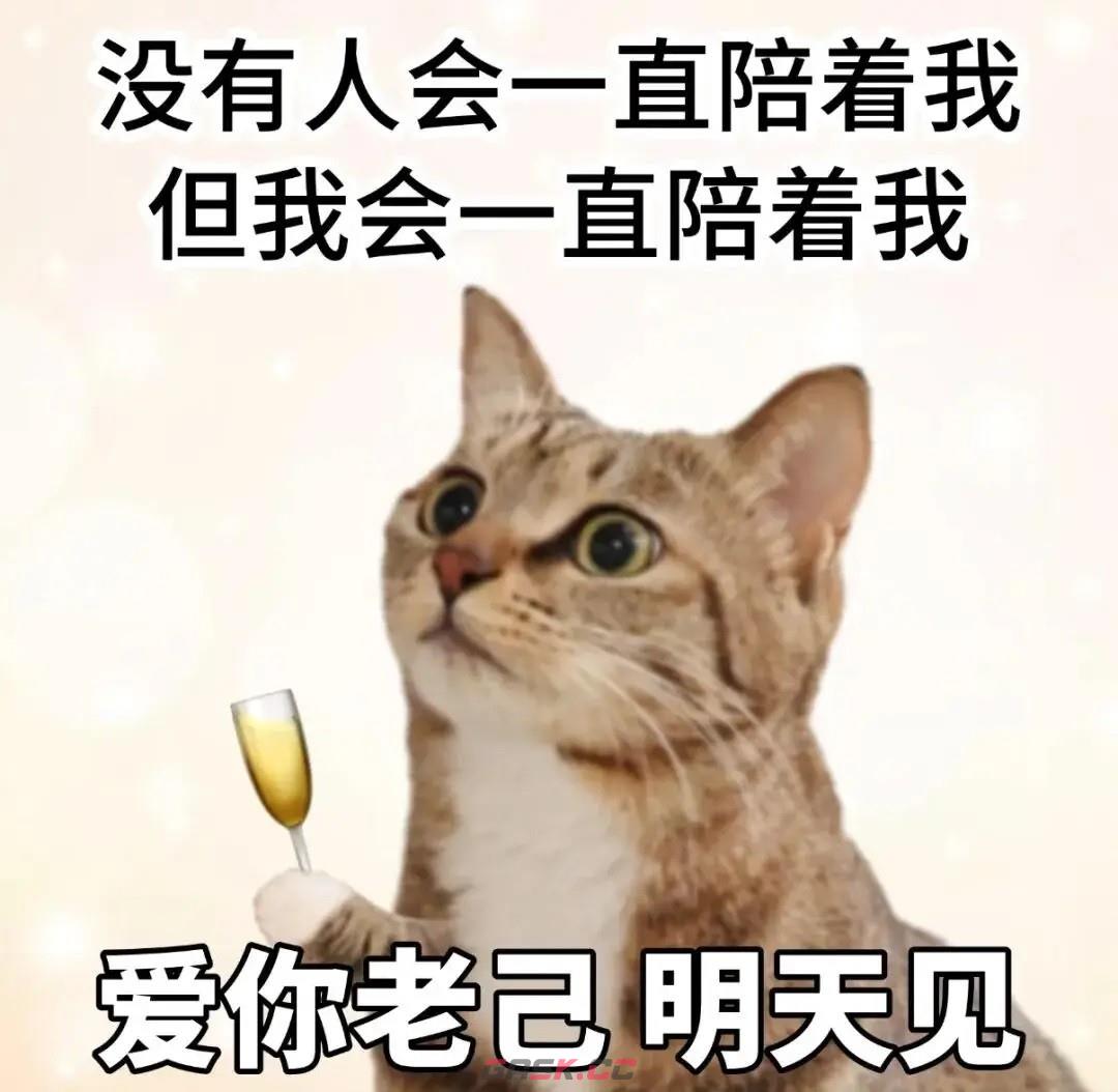 爱你老己梗介绍-第3张-手游攻略-GASK