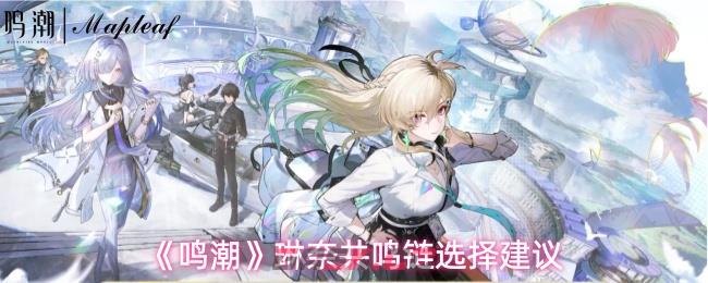 《鸣潮》琳奈共鸣链选择建议