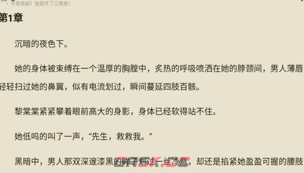 红烛小说app阅读参数设置方法-第4张-手游攻略-GASK