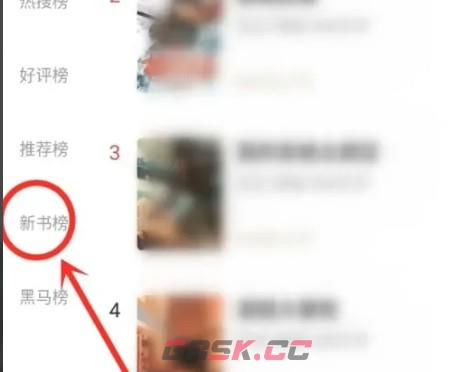 布袋鼠小说app新书排行榜查看位置-第4张-手游攻略-GASK