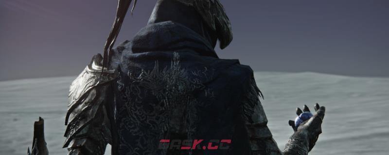 《艾尔登法环：黑夜君临》复仇者角色强度介绍-第1张-单机攻略-GASK