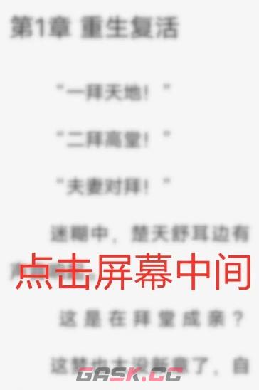 布袋鼠小说app翻页模式设置入口-第2张-手游攻略-GASK