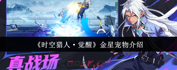 《时空猎人·觉醒》金星宠物介绍-第1张-手游攻略-GASK