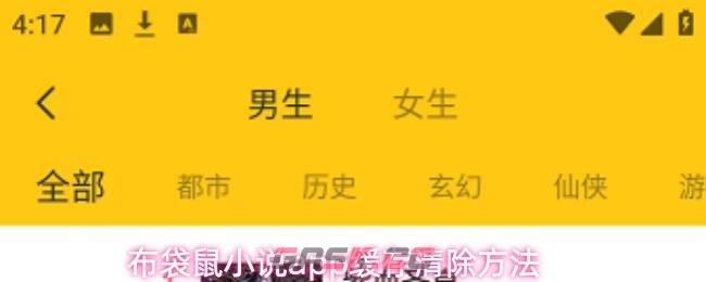 布袋鼠小说app缓存清除方法