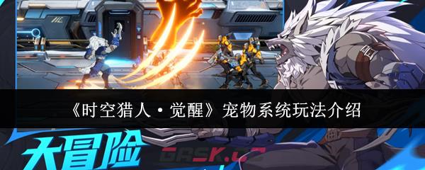 《时空猎人·觉醒》宠物系统玩法介绍-第1张-手游攻略-GASK