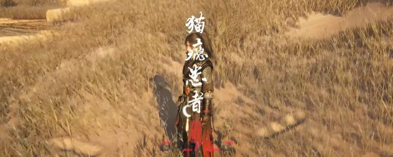 《燕云十六声》河西猫瘾患者奇遇做法介绍-第1张-单机攻略-GASK