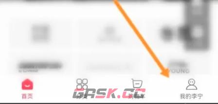 李宁app发票申请入口-第2张-手游攻略-GASK