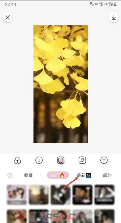 日杂相机app微信语音效果添加方法-第4张-手游攻略-GASK