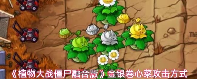 《植物大战僵尸融合版》金银卷心菜攻击方式