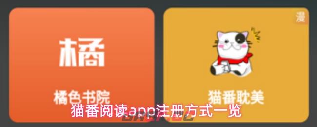 猫番阅读app注册方式一览-第1张-手游攻略-GASK
