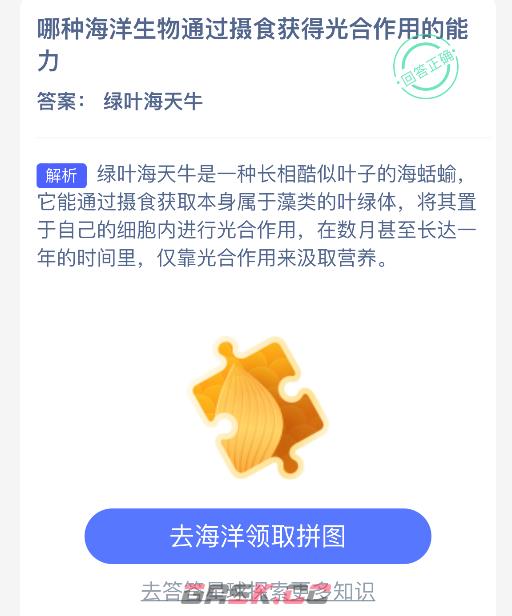 哪种海洋生物通过摄食获得光合作用的能力-第2张-手游攻略-GASK