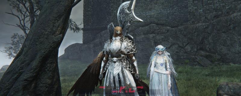 《艾尔登法环：黑夜君临》送葬者主流玩法攻略-第1张-单机攻略-GASK