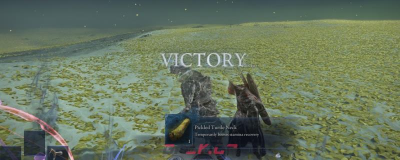 《艾尔登法环：黑夜君临》女爵流派推荐-第1张-单机攻略-GASK