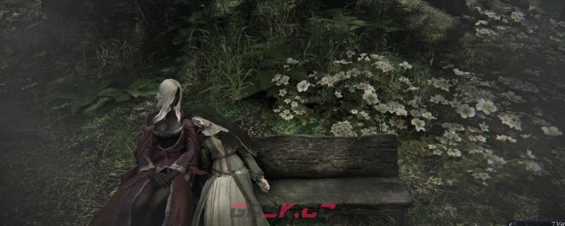 《艾尔登法环：黑夜君临》送葬者小众玩法攻略-第1张-单机攻略-GASK