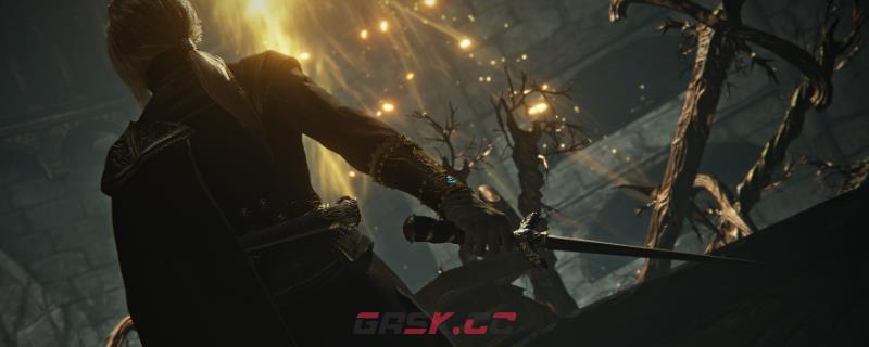 《艾尔登法环：黑夜君临》执行者的小众玩法攻略-第1张-单机攻略-GASK