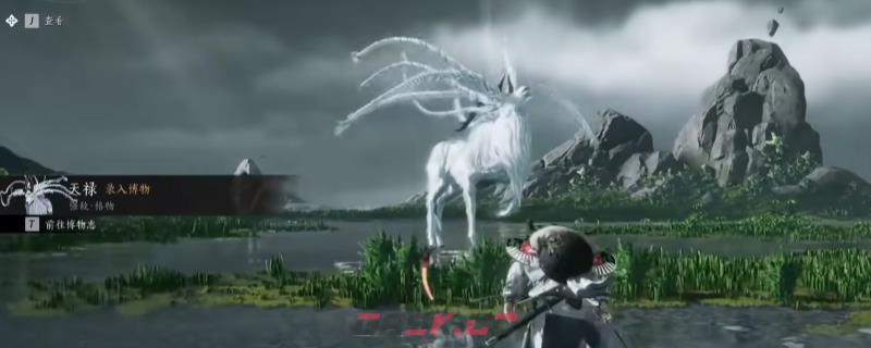 《燕云十六声》天禄BOSS具体位置分享-第1张-单机攻略-GASK