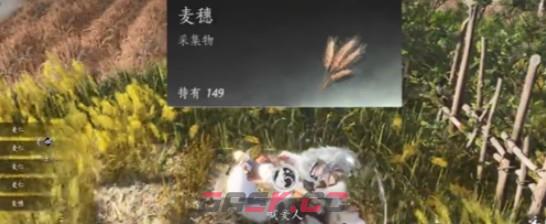 《燕云十六声》滹沱麦子相关成就获取方法-第5张-手游攻略-GASK