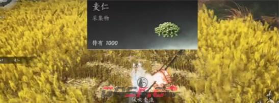 《燕云十六声》滹沱麦子相关成就获取方法-第3张-手游攻略-GASK