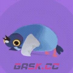 疯狂的鸽子表情包大全-第3张-手游攻略-GASK