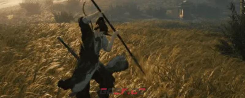 《燕云十六声》金蟾腾跃与狮吼正声介绍-第1张-单机攻略-GASK