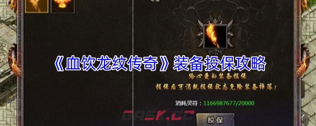 《血饮龙纹传奇》装备投保攻略