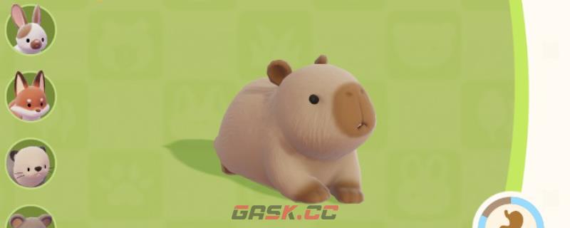 《心动小镇》水豚位置及喜爱食物分享