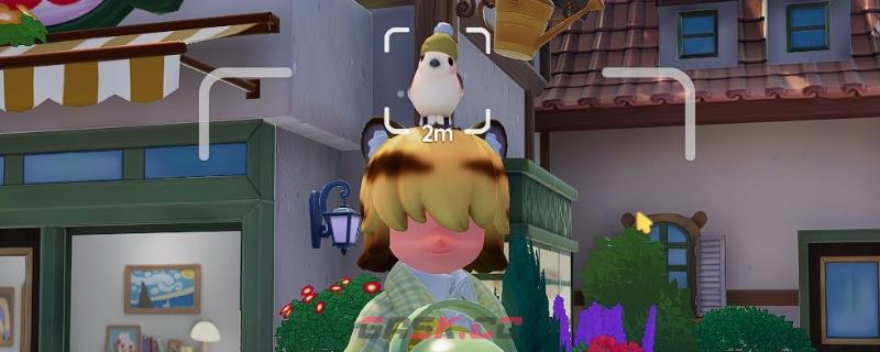 《心动小镇》观鸟发现鸟类方法介绍