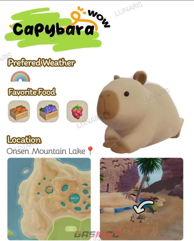 《心动小镇》全动物食槽具体位置介绍-第9张-单机攻略-GASK