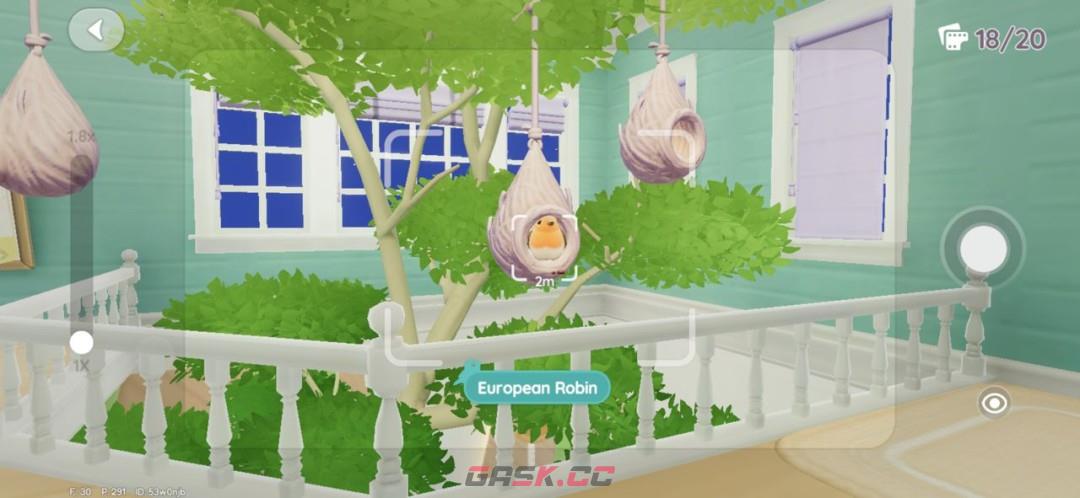 《心动小镇》观鸟玩法技巧分享-第2张-单机攻略-GASK