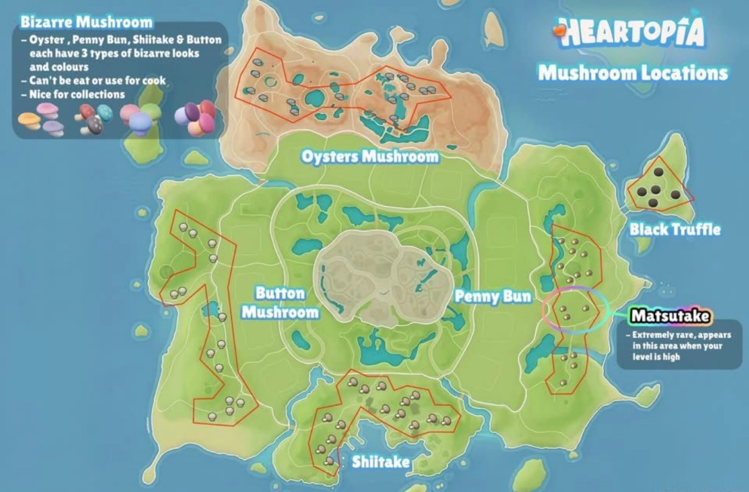 《心动小镇》全种类蘑菇具体位置介绍-第2张-单机攻略-GASK