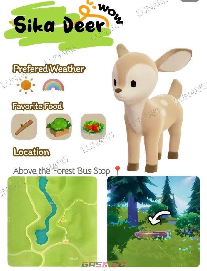 《心动小镇》全动物食槽具体位置介绍-第6张-单机攻略-GASK