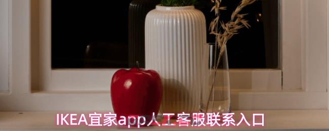 IKEA宜家app人工客服联系入口