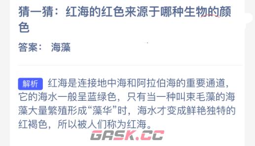 猜一猜：红海的红色来源于哪种生物的颜色-第2张-手游攻略-GASK