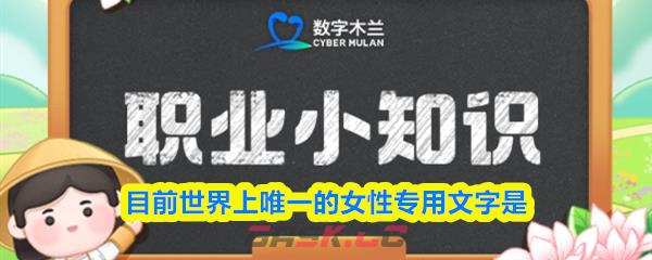 目前世界上唯一的女性专用文字是