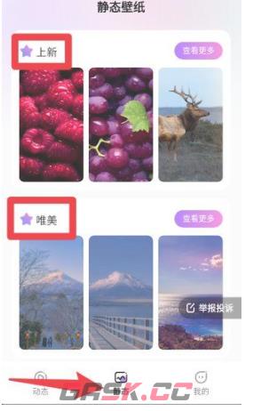 拇指壁纸app壁纸使用方法-第4张-手游攻略-GASK