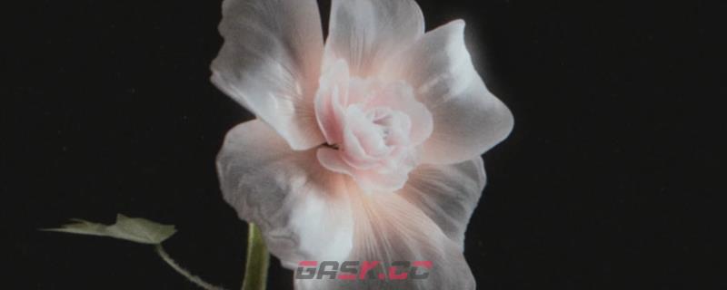 《月球任务》照片3内容及位置分享-第1张-单机攻略-GASK