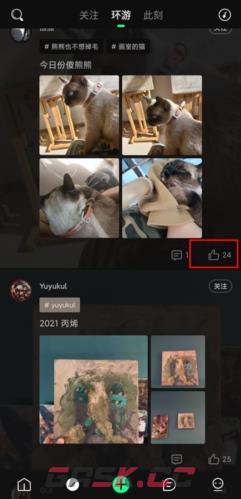 《我岛》表态方法介绍-第2张-手游攻略-GASK