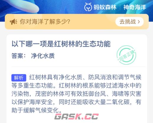 以下哪一项是红树林的生态功能-第2张-手游攻略-GASK