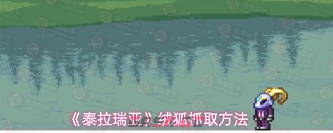 《泰拉瑞亚》绒狐抓取方法