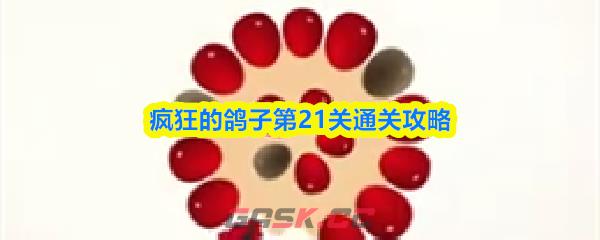疯狂的鸽子第21关通关攻略
