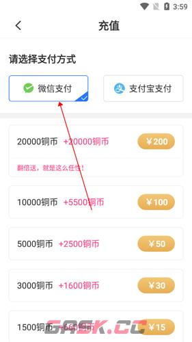 《中文书城》充值方法介绍-第5张-手游攻略-GASK