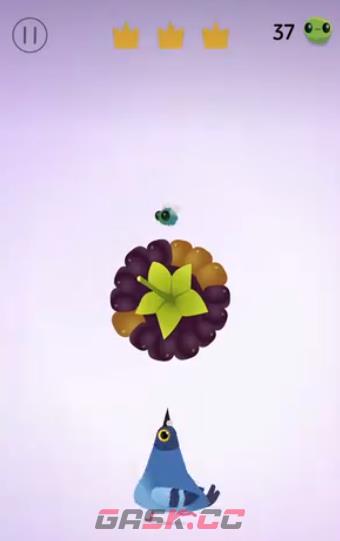 疯狂的鸽子第30关通关攻略-第2张-手游攻略-GASK