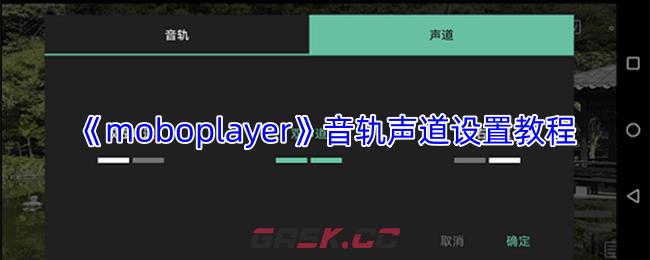 《moboplayer》音轨声道设置教程
