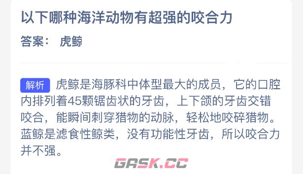 以下哪种海洋动物有超强的咬合力-第2张-手游攻略-GASK