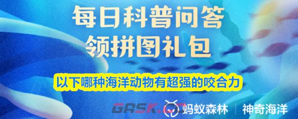 以下哪种海洋动物有超强的咬合力